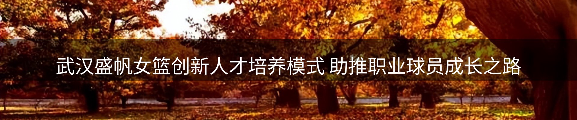 焦点选编